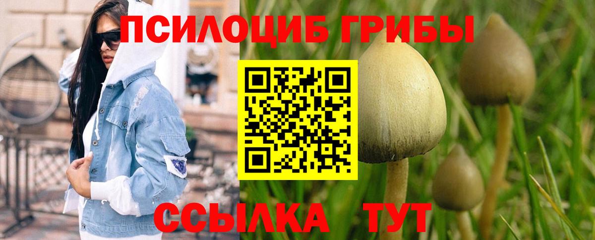 Галлюциногенные грибы Magic Shrooms  Псилоцибиновые грибы мицелий  Сарапул  Вход с VPN 